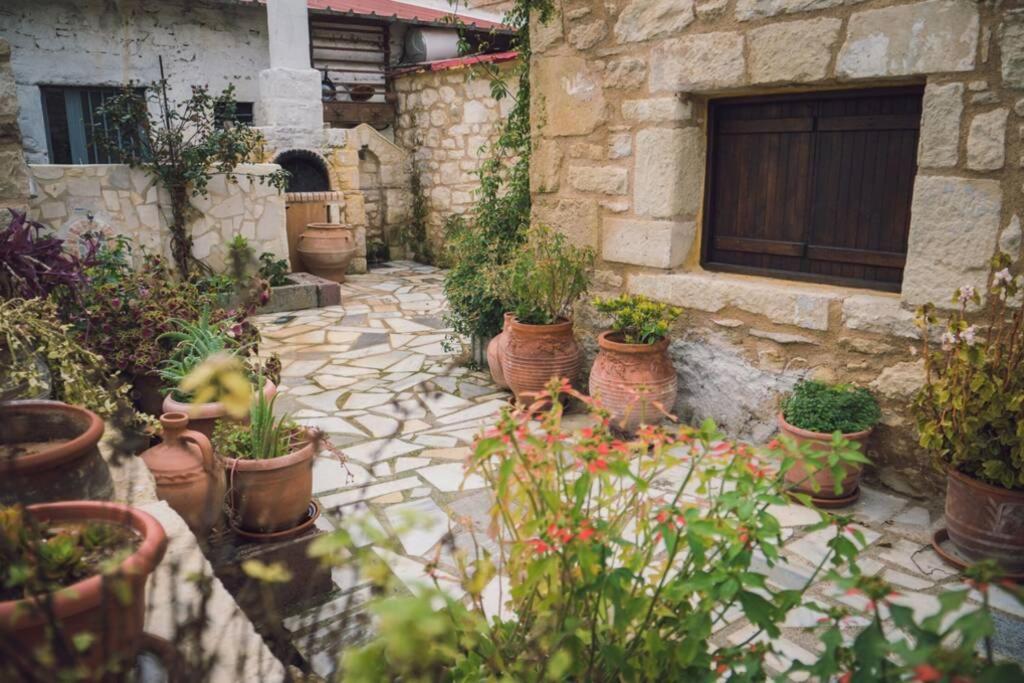 The Royal Stonehouse : Sophia Villa Vasiliki  Esterno foto